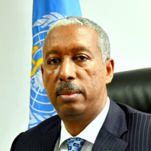 Yonas Tegegen Woldemariam